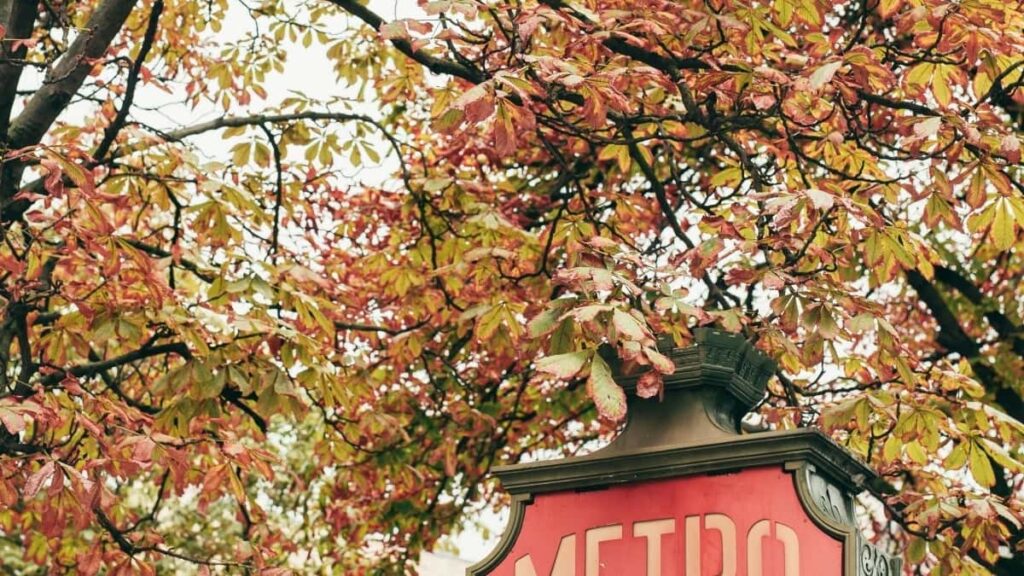 Trouver des collaborations Belgium brands sur TikTok en 2025