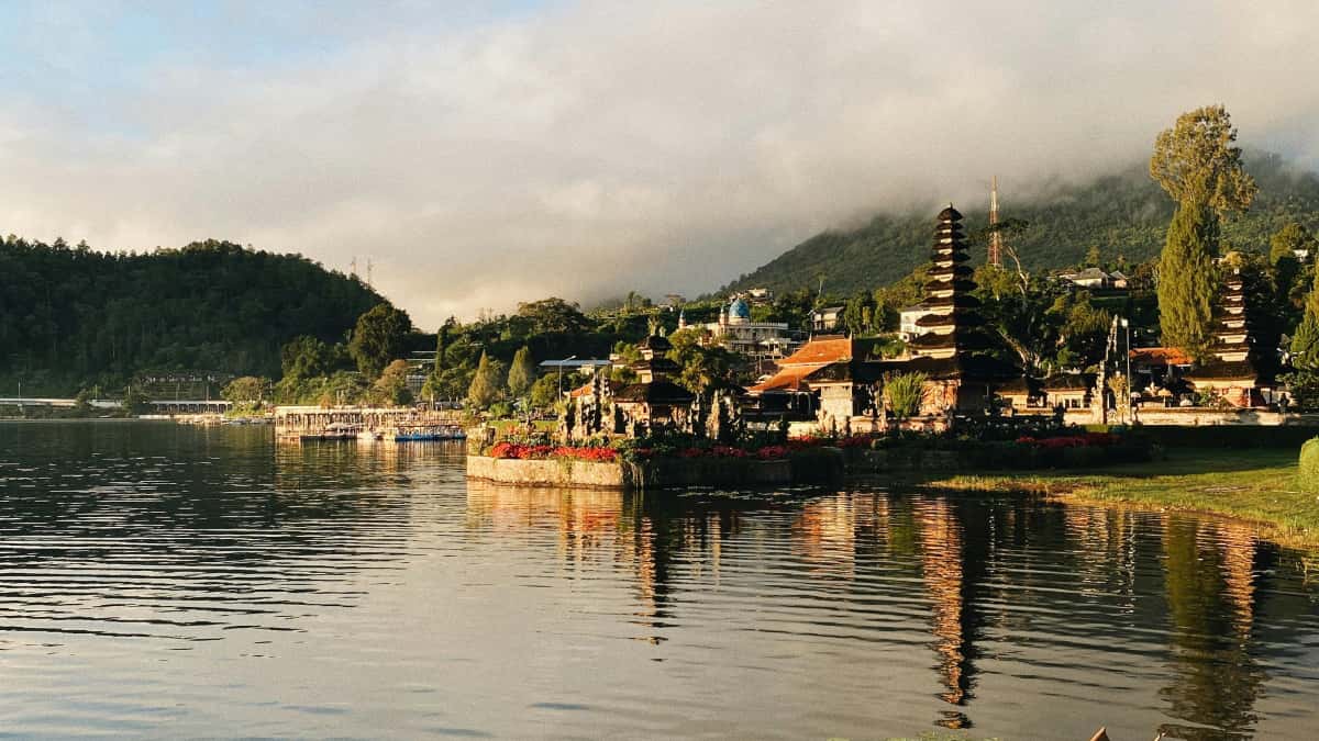Marketers: Find Costa Rica Disney Plus creators fast