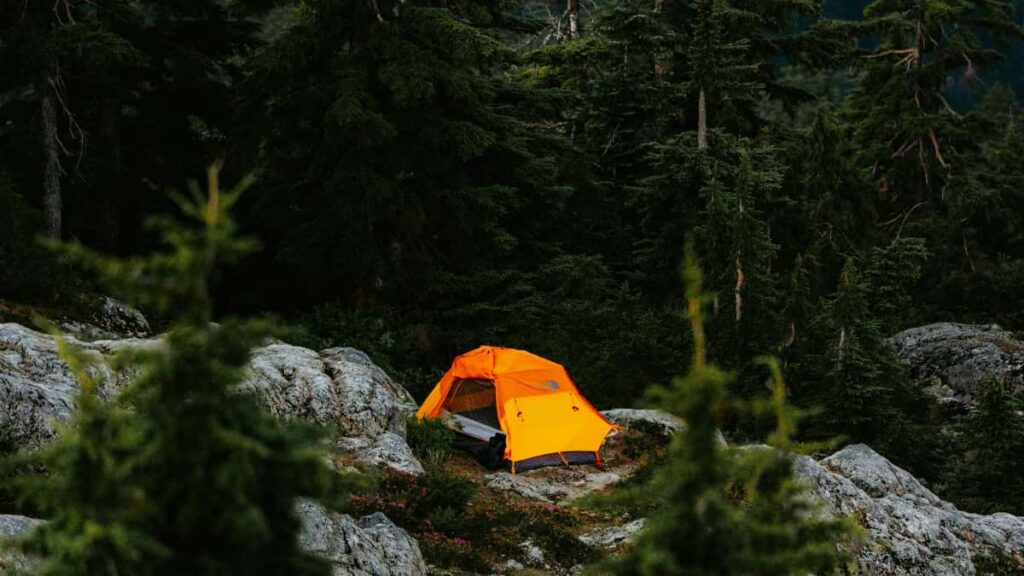 Guide pratique pour createurs francais: comment contacter et negocier des deals forfaitaires avec des marques koweitiennes via OnlyFans.