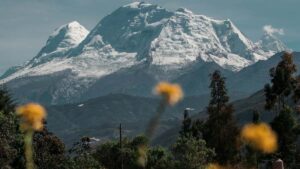 Guide pratique pour annonceurs en France : comment identifier, contacter et activer createurs colombiens sur Bilibili afin daccelerer la notoriete produit a linternational.