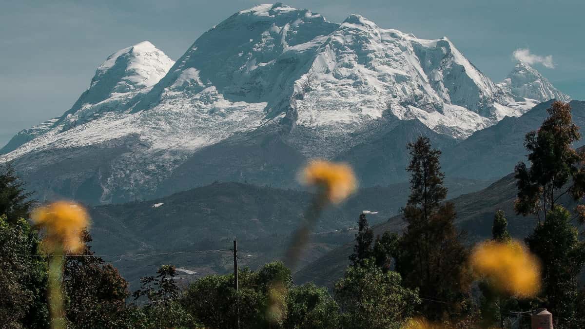 Annonceurs FR: trouver créateurs colombiens sur Bilibili — boostez votre reach