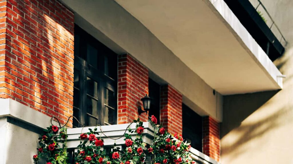 Strategie pratique pour les createurs francais: comment reperer, contacter et collaborer avec des marques slovenes vendues sur Amazon afin de creer looks styles et vendables.