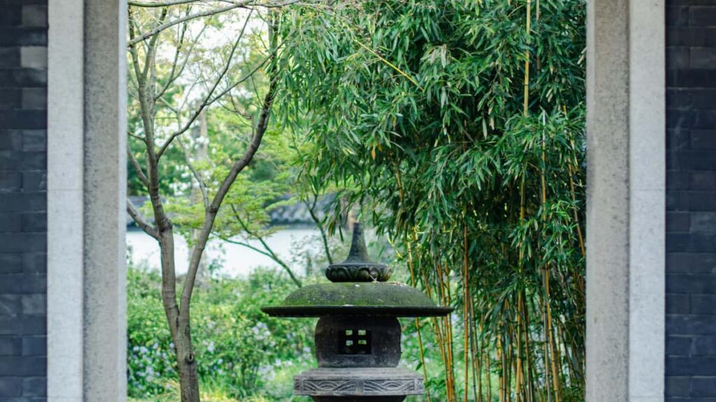 Guide pratique pour annonceurs en France : comment reperer et briefer des createurs Lazada au Bresil pour produire des videos virales, avec tactiques, outils et erreurs a eviter.