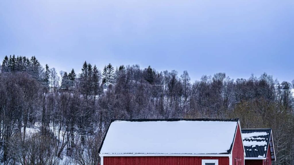 Guide pratique pour annonceurs francais : comment reperer et collaborer avec des createurs Etsy du Kazakhstan pour des campagnes conjointes, outils, couts et bonnes pratiques.