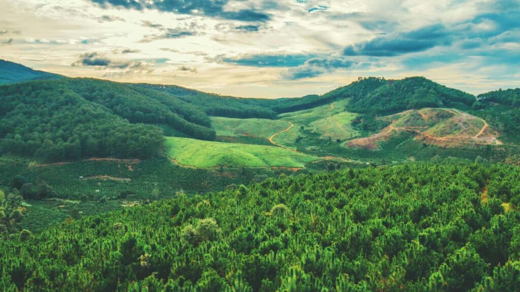 Guide pratique pour createurs en France : comment cibler les marques tanzaniennes sur TikTok, proposer du UGC pertinent et convertir des briefs en missions remunerees.