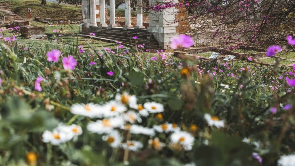 Guide pratique pour les annonceurs francais: ou et comment identifier, approcher et collaborer avec des createurs WeChat bases au Nepal pour augmenter la visibilite produit.