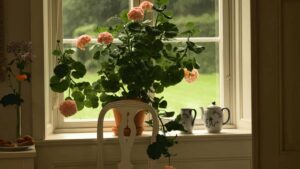 Guide pratique pour les annonceurs francais: comment identifier, contacter et lancer des campagnes conjointes avec des createurs lettons d'OnlyFans et alternatives en 2025.