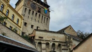 Guide pratique pour annonceurs FR : comment reperer et activer des createurs Roposo en Tanzanie afin daccelerer la croissance produit grace au contenu createur.