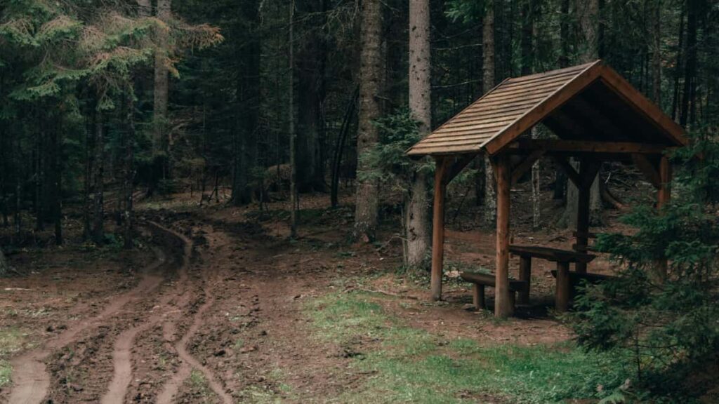 Guide pratique pour createurs francais: comment approcher les marques sri-lankaises sur Viber pour promouvoir des morceaux via des challenges. Strategies, messages, partenariats locaux.