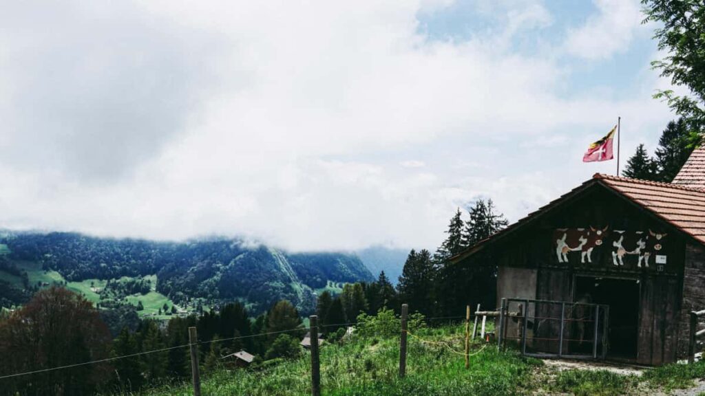 Guide pratique pour les createurs en France qui veulent etre reperes par des marques vietnamiennes sur Instagram : strategie, exemples locaux et checklist actionnable.