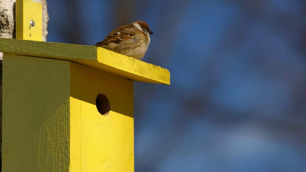Guide pratique pour marques en France: comment identifier et activer des createurs Shopee bases en Jordanie pour lancer des initiatives de marque socialement responsables.