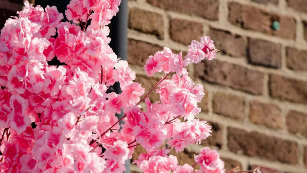 Guide pratique pour les annonceurs francais : comment identifier, evaluer et engager des createurs Reddit en Israel pour lancer des gammes de complements sante.