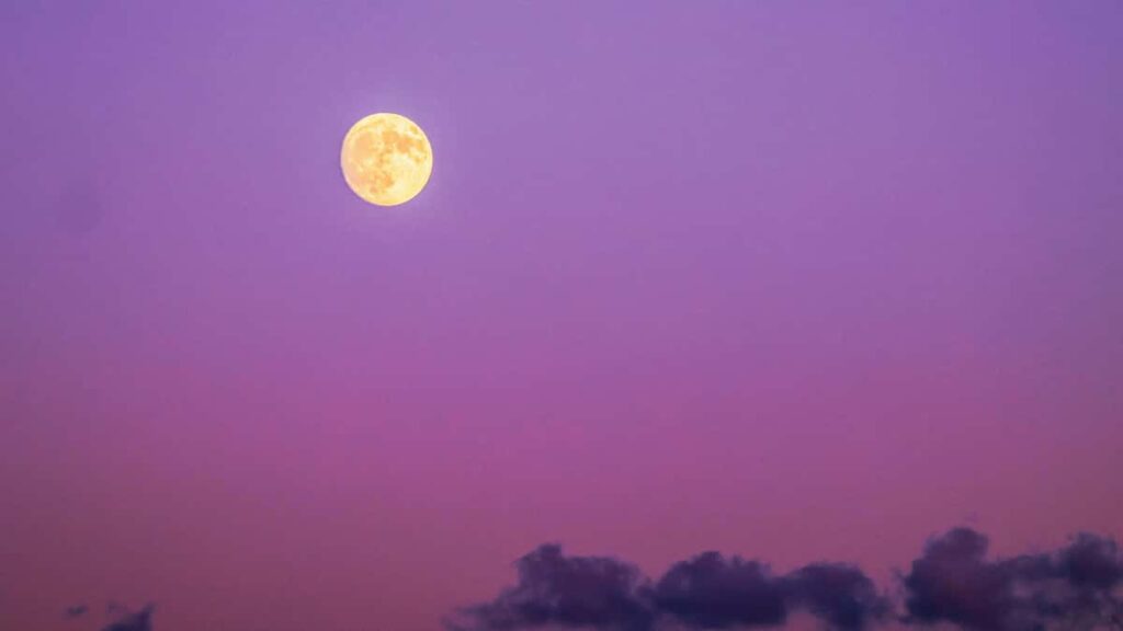 Guide pratique pour createurs en France: comment contacter les marques grecques sur Douyin, pitcher des reviews et tirer profit des tendances 2026.