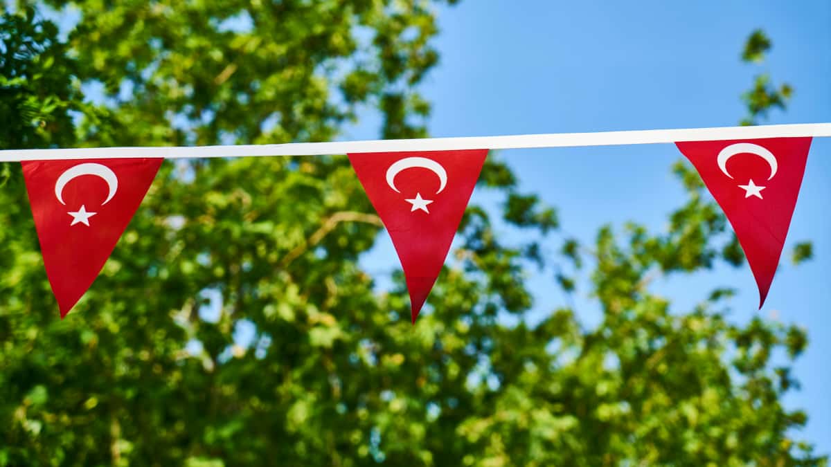 Annonceurs français: trouver des créateurs Josh en Azerbaïdjan pour ventes saisonnières