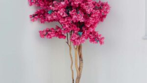 Guide pratique pour les annonceurs francais : comment identifier, contacter et activer des YouTube creators israeliens pour des campagnes esports performantes.